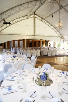 wedding rentals